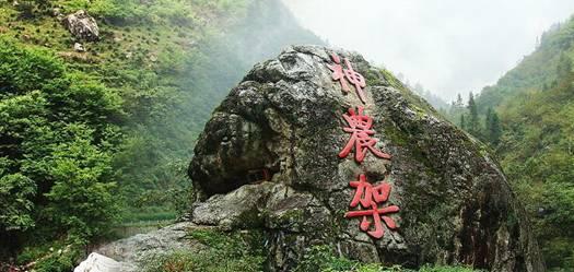 自由小迷宫